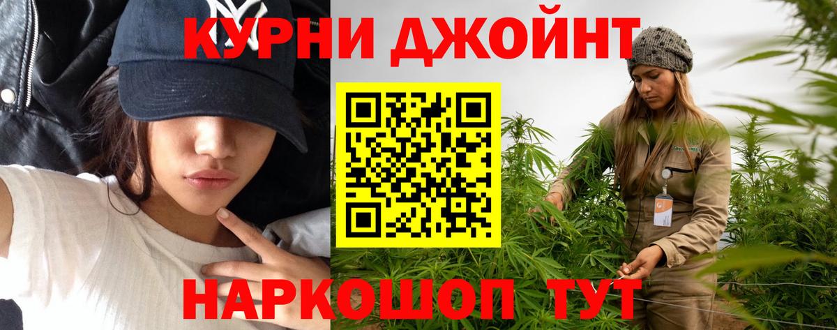 Марихуана конопля  Канабис планчик  Минеральные Воды  Вход с VPN 